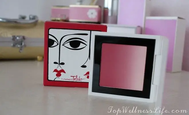 M.A.C Blush Ombre from Isabel & Ruben Toledo