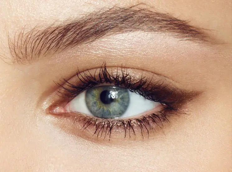 A perfect eyebrow shape for an oval faces