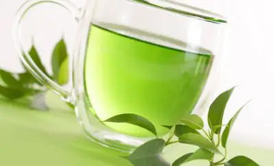 How to become thin with Green Tea